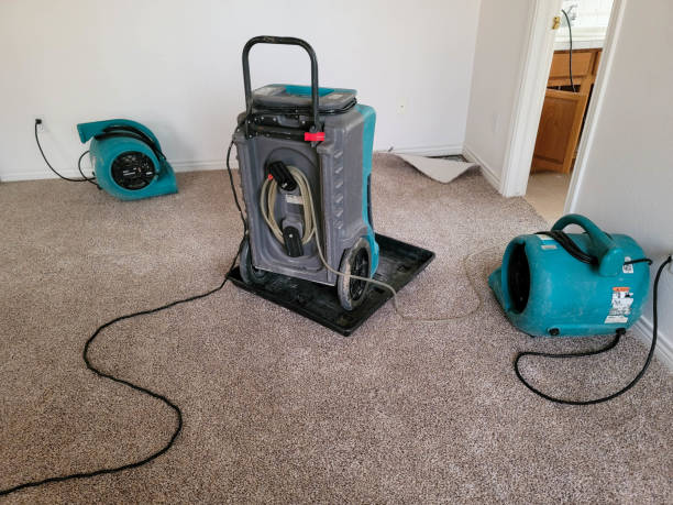 Best Water damage restoration near me  in Boise City, OK
