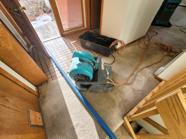 Professional Water damage restoration in Boise City, OK
