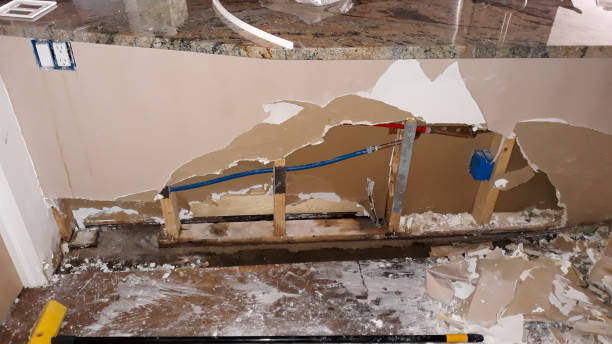 Water damage restoration mold remediation in Boise City, OK