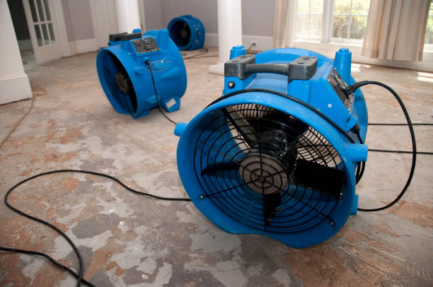 Sewage cleanup and water damage restoration in Boise City, OK