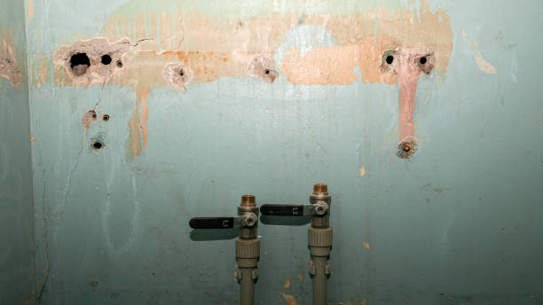Best Local water damage restoration  in Boise City, OK
