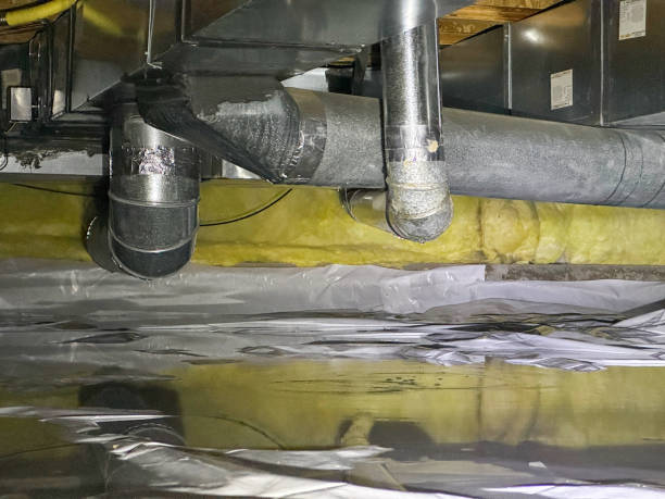 Best Ceiling water damage repair  in Boise City, OK